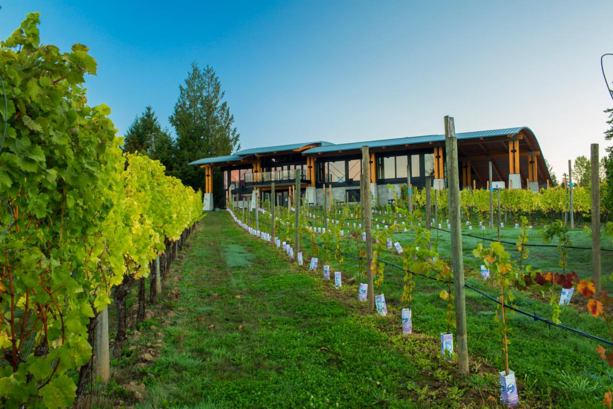 New wine producing region recognized on Vancouver Island Crush Magazine